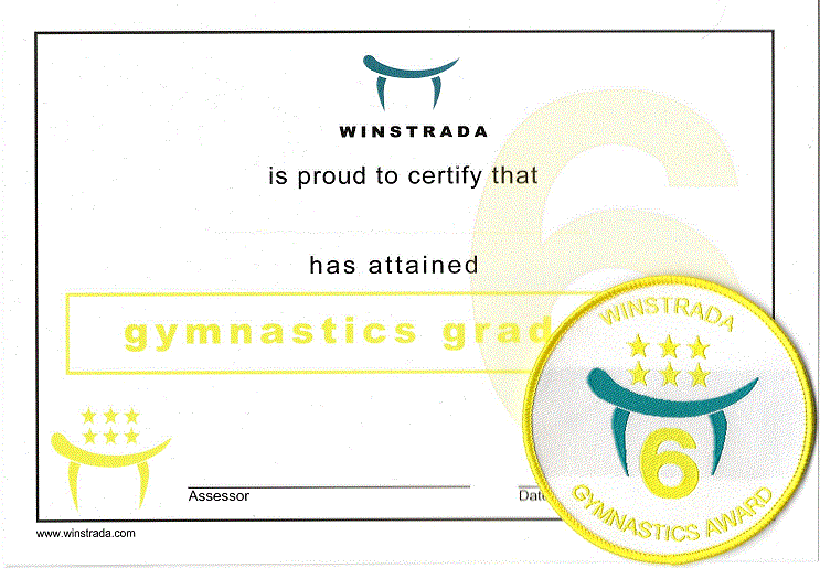 Gymnastics Award - Grade 6
