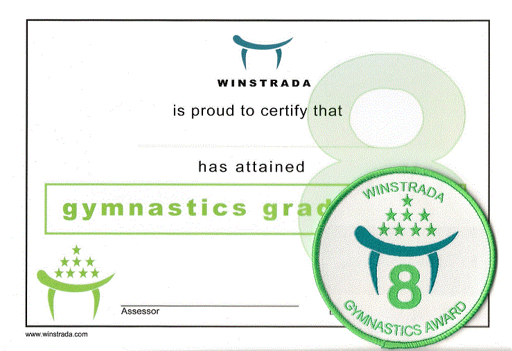 Gymnastics Award - Grade 8
