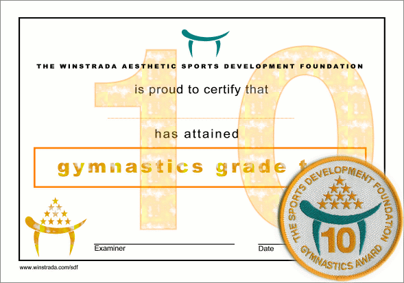 Gymnastics Award - Grade 10
